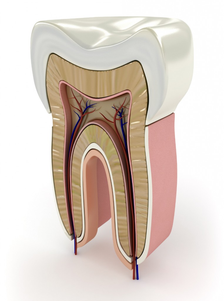 fotolia_27706514_subscription_xxl